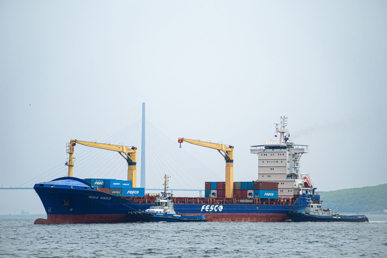 FESCO увеличила вместимость линии между Новороссийском и портами Индии на 24%