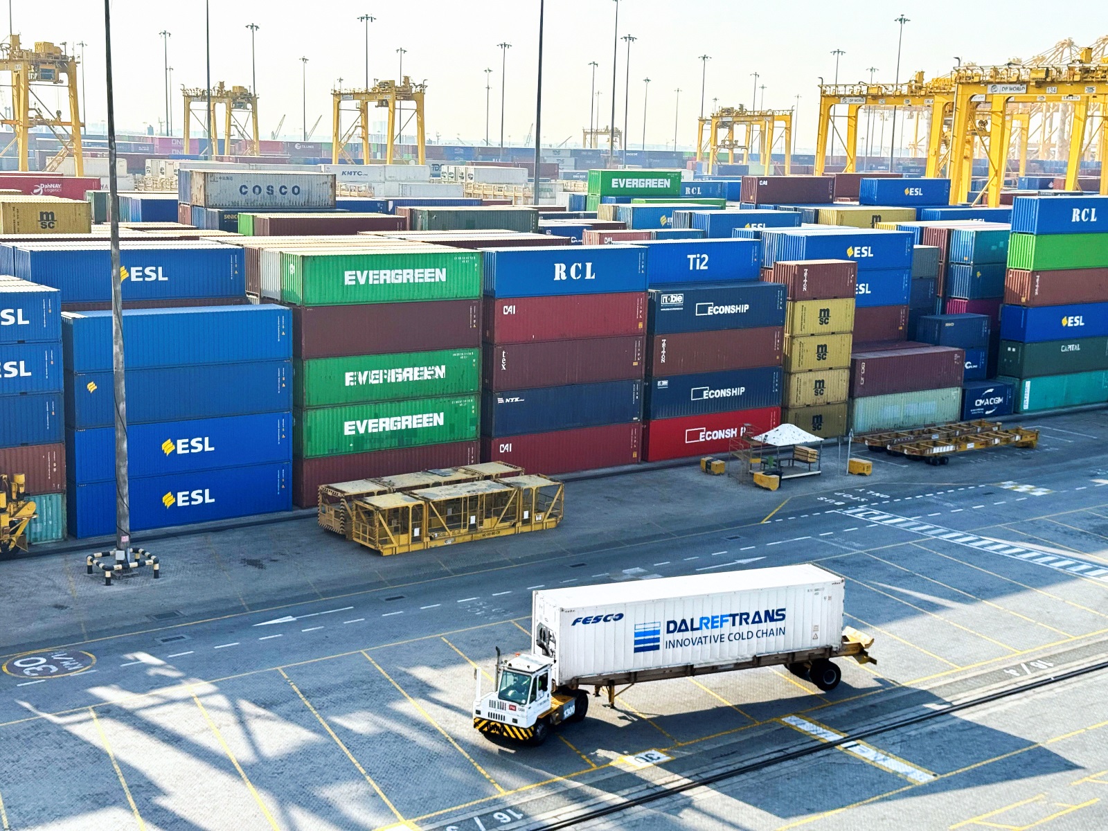 FESCO отправила первую партию фиников из ОАЭ в Россию