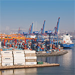 ВМТП перевалил 500 тыс. TEU с начала года, установив рекорд среди портов Дальнего Востока РФ