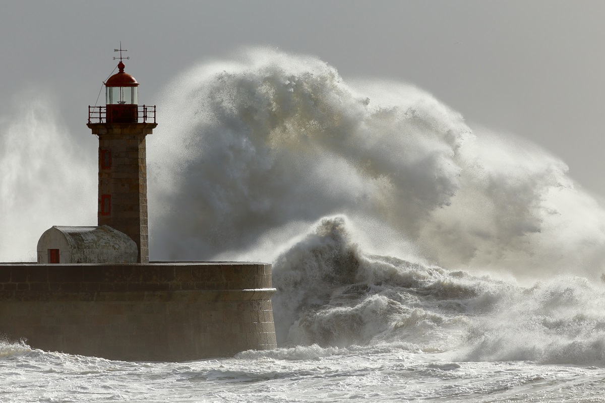 Кризис в логистике: причины, последствия и прогнозы на будущее Кризис в логистике: причины, последствия и прогнозы на будущее