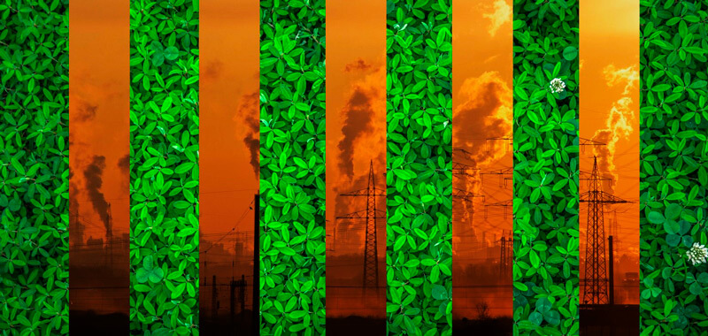 Зеленый свет в конце тоннеля