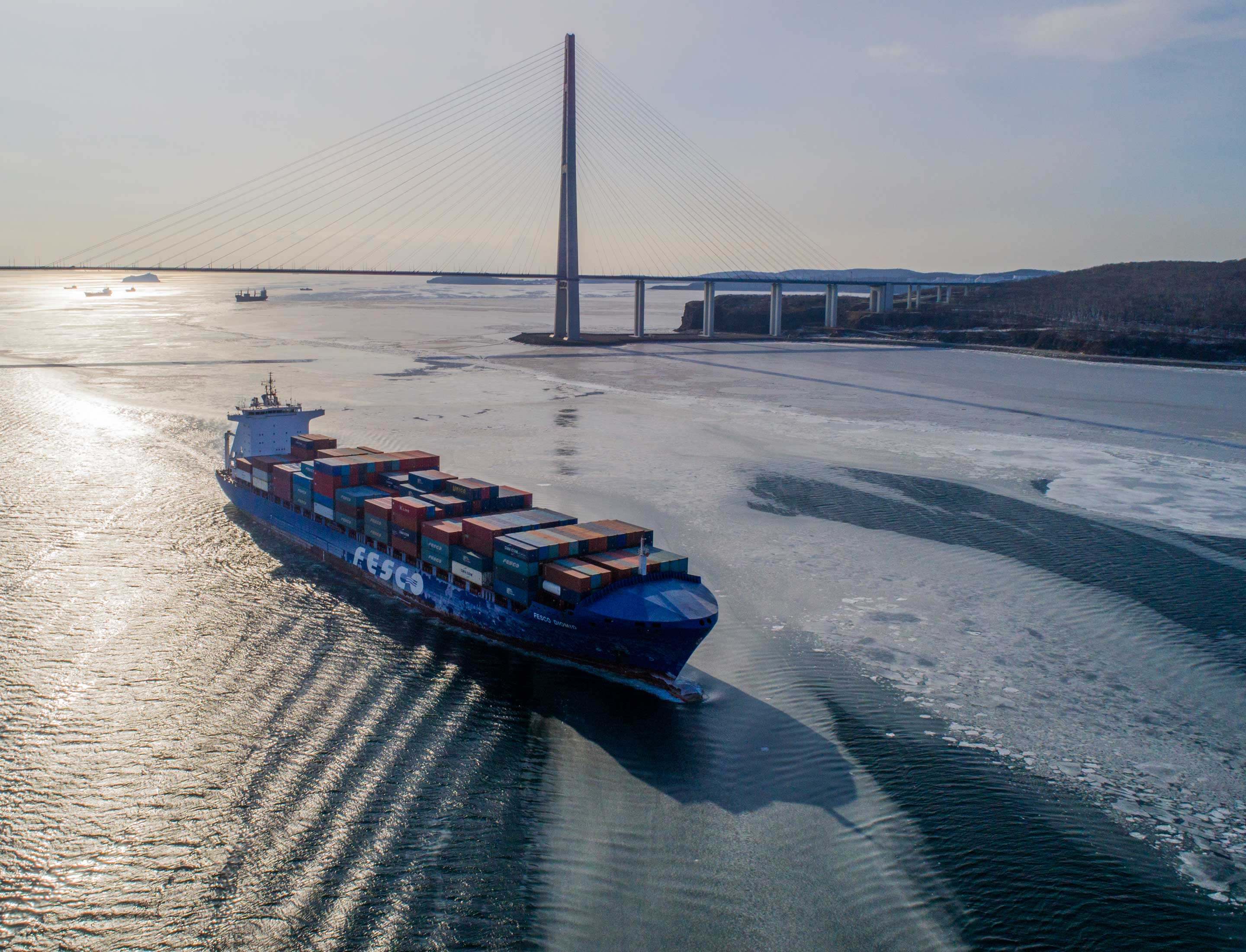 FESCO Diomid motor vessel enters port of Vladivostok, 2018