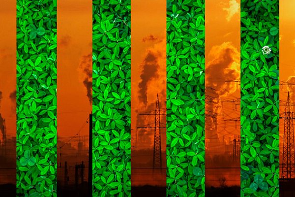 Зеленый свет в конце тоннеля