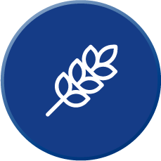 Груз свой путь найдет